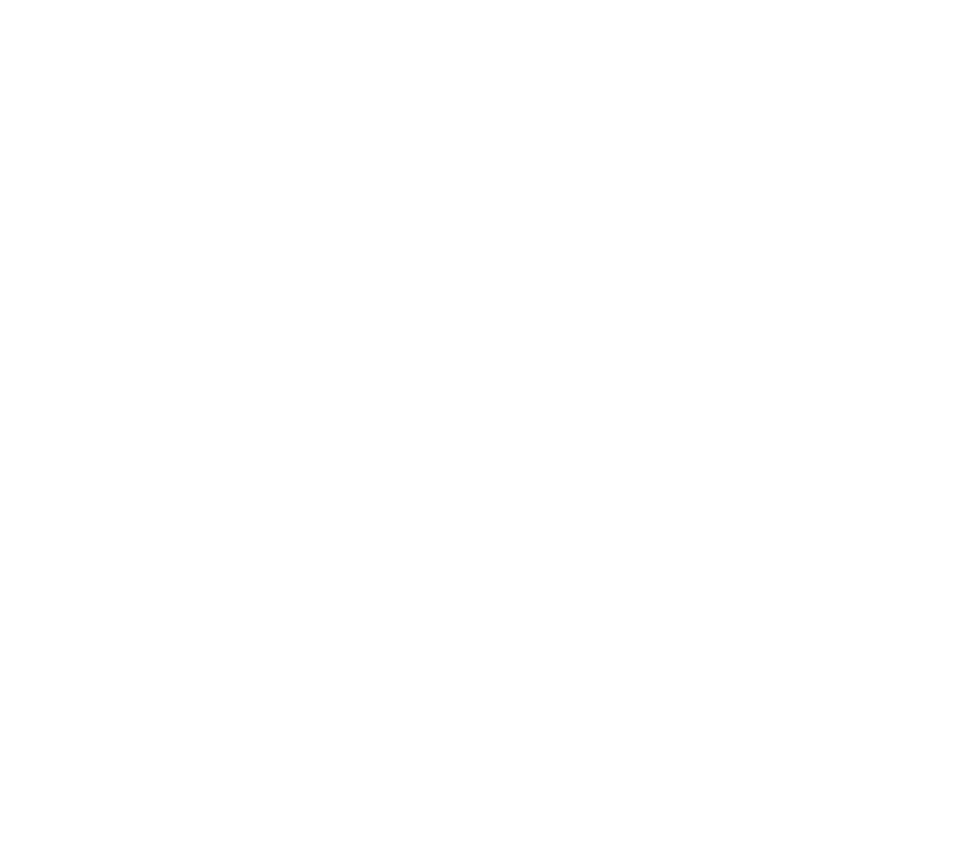 Noir Fleet logo